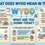 What Does WYDD Mean in Text