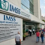 What Does IMSS Mean in Text